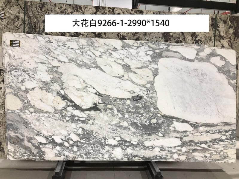 大花白9266