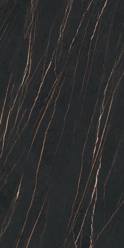 WT0219