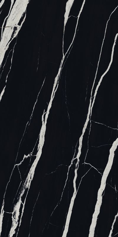 WT0224