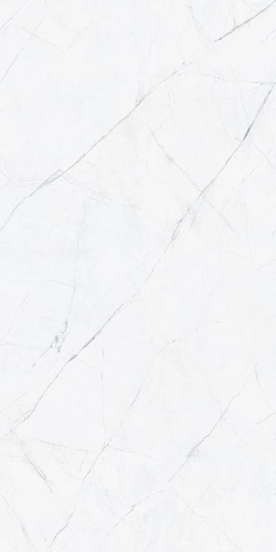 WT0226