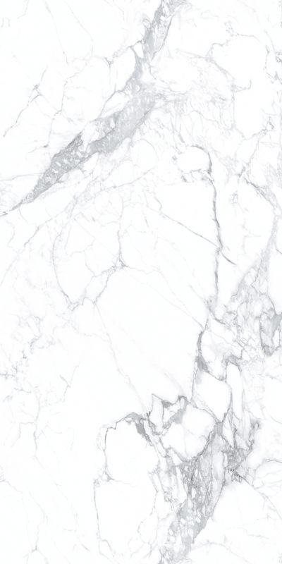WT0229