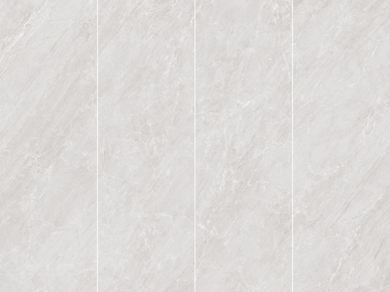 WT0603