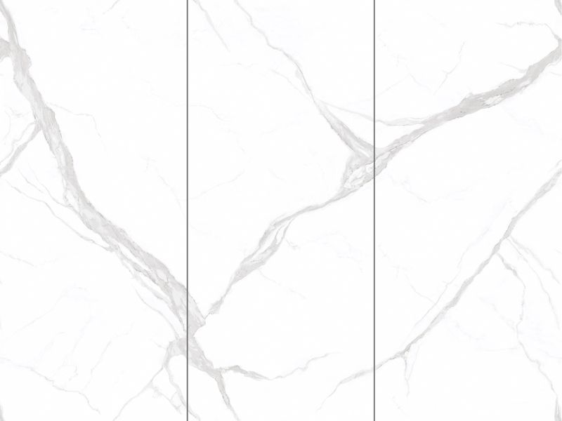 白玉兰
